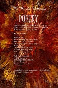 Poetry plain BACK cover vibrant